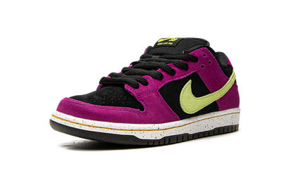 Nike SB Dunk Low ACG Terra Red Plum
