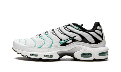 Nike Air Max Plus Atmos