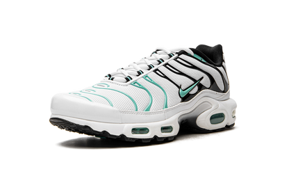 Nike Air Max Plus Atmos