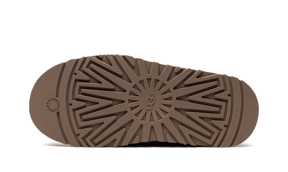 UGG TAZZ WMNS "Chestnut"