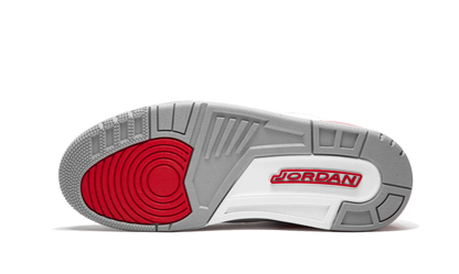 Jordan 3 Retro Hall of Fame