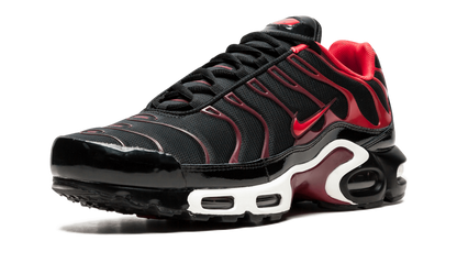 Nike Air Max Plus Black and Red