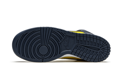 Nike Dunk High Michigan