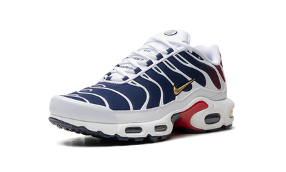 Air Max TN Plus PSG