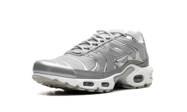 Nike Air Max Plus Metallic Silver