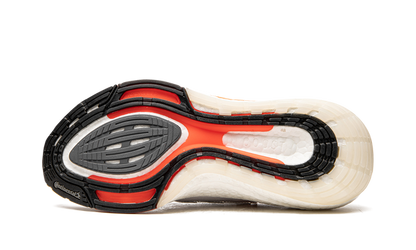 Adidas Ultraboost  21 Tokyo