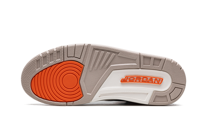 Jordan 3 Retro Desert Elephant